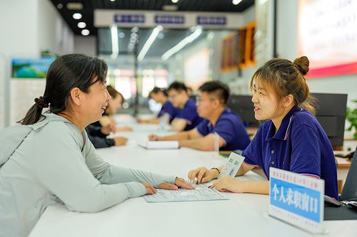 唐山零工市場 激活靈活就業新引擎，職業中介服務賦能勞動力市場